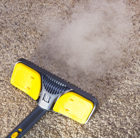 Steam Cleaning Steam Cleaning